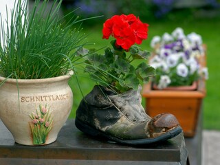 Vakantieappartement Mayrhofen Kenmerken 16