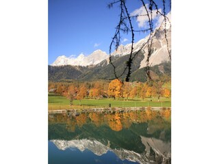 IMG_5706