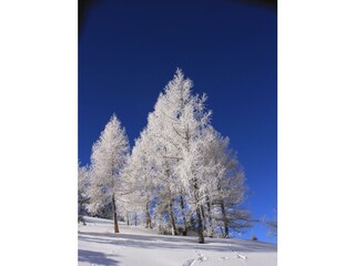 IMG_1759