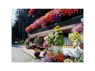 Haus