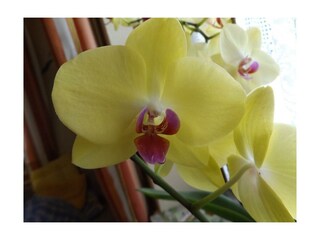DSCF0012