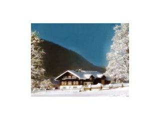 Winter Sattlehnerhof