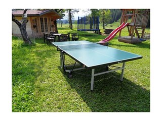 Sattlehnerhof Spielhof Tischtennis