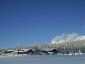 Winter am Frienerhof