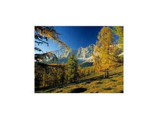 Almgebiet im Herbst