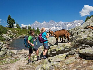 Am Spiegelsee