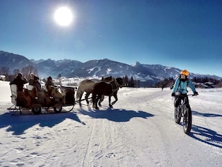 Winterwonderland