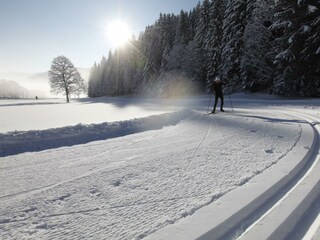Langlaufparadies