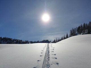 Spuren im Schnee