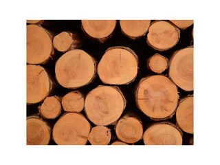 2014_12_Ramsbergerhof_Fotoshooting120