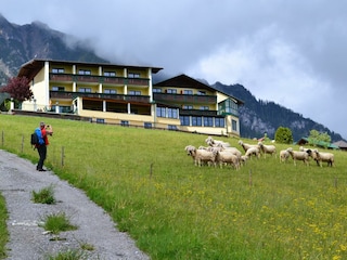 Hotel Martin (2)
