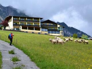Hotel Martin (2)