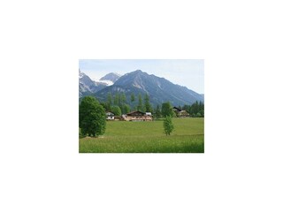 Sommerfoto
