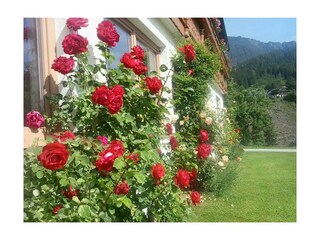Sommer Trillerhof
