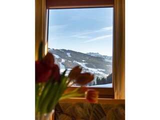 Trillerhof-Ramsau-am-Dachstein-Appartments-Ferienw