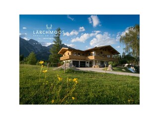 laerchmoos-2017-5