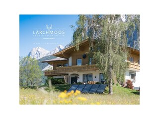 laerchmoos-2017-4