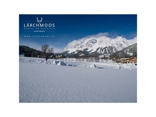 appartements-laerchmoos-winter-16