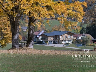 laerchmoos-herbst-2019-12