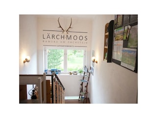 laerchmoos-2015-18