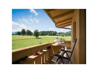 laerchmoos-2017-balkon-appB-2
