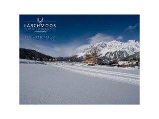 appartements-laerchmoos-winter-15
