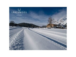 appartements-laerchmoos-winter-14