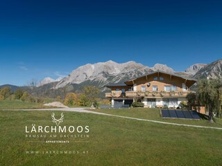 laerchmoos-herbst-2019-1-3