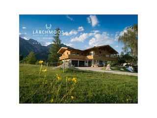 laerchmoos-2017-5