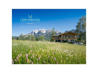 laerchmoos-2017-2