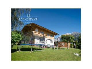 laerchmoos-2017-ums-1