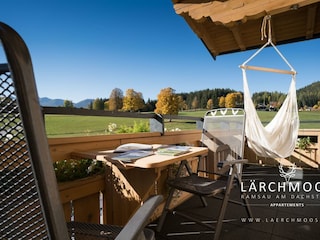 laerchmoos-herbst-2019-6