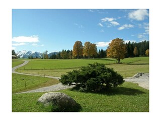 Der goldene Herbst