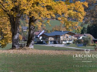 laerchmoos-herbst-2019-12