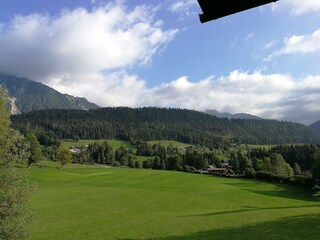 Wiesen und Wälder