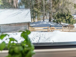 küche aussicht alpakas ferienwohnung ahorn ramsau