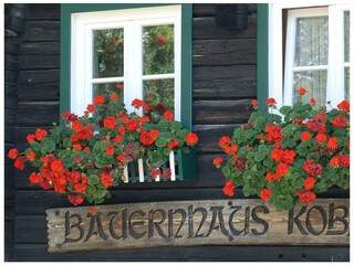 appartement-bauernhaus-kobald