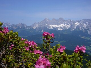 großartige Bergkulisse