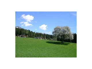 Haus Astrid