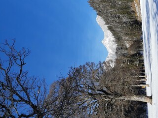 Ramsau_4