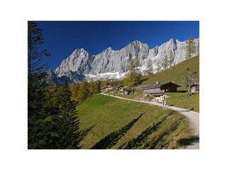 Almlandschaft vor Dachstein