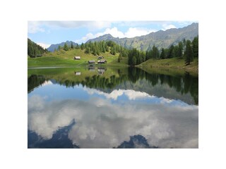 Natur pur