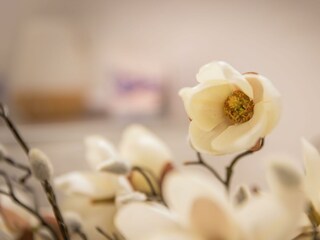 Wellnessbereich Sonnwendhof Ramsau am Dachstein, 0