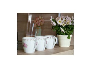 image004