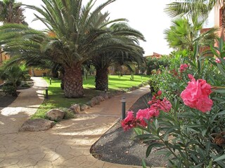 Vakantieappartement Corralejo Buitenaudio-opname 6