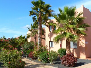 Vakantieappartement Corralejo Buitenaudio-opname 3