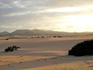 Vakantieappartement Corralejo Omgeving 33