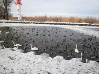 Der Leuchtturm von Ueckermünde im Winter
