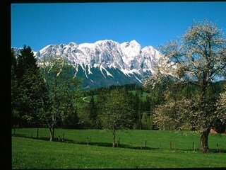 Grimming Sommer mit Obstgarten