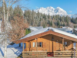 Birke im Wintermantel